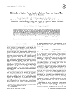 Distribution of Cashew Flower Sex-types between Clones and Sides