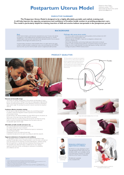 EXECUTIVE SUMMARY The Postpartum Uterus Model is designed