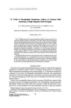 31P NMR of Phospholipid Membranes: Effects of Chemical Shift