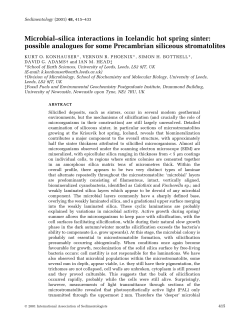 Microbial&plusmn;silica interactions in Icelandic hot spring sinter: possible