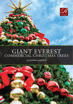 giant everest - Christmas Lights, Etc