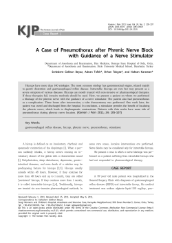 A Case of Pneumothorax after Phrenic Nerve Block with Guidance of