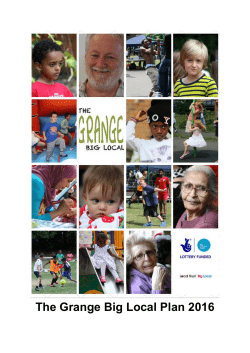 The Grange Big Local Plan 2016