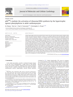p90RSKs mediate the activation of ribosomal RNA synthesis by the
