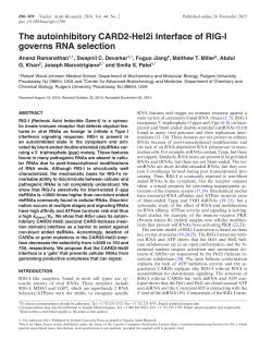 The autoinhibitory CARD2-Hel2i Interface of RIG