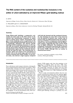 The RNA content of the nucleolus and nucleolus
