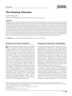 Osteocyte - BioMedSearch
