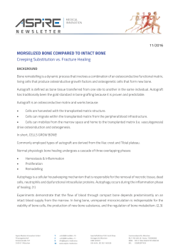 Morselized Bone compared to Intact Bone