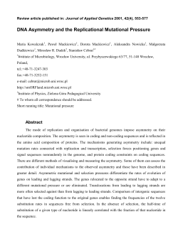 DNA Asymmetry and the Replicational Mutational Pressure