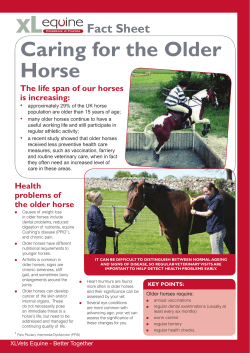 Caring for the Older Horse