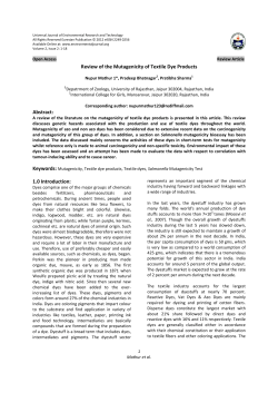Review of the Mutagenicity of Textile Dye Products