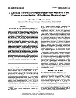 Endomembrane System of the Barley Aleurone Layer1