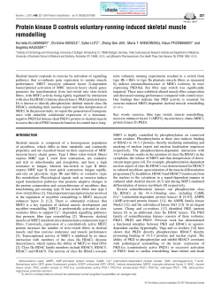 Protein kinase D controls voluntary-running