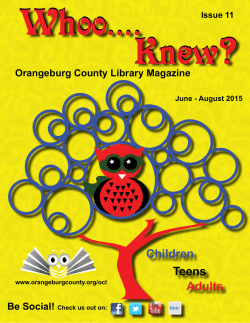 1:00 pm - Orangeburg County