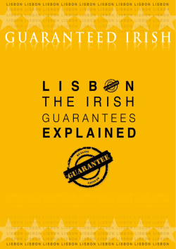 Irish Guarantees - The Institute of International and European Affairs