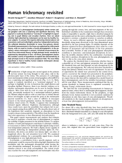 Human trichromacy revisited