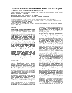 Dengue Virus Uses a Non-Canonical Function of the Host GBF1