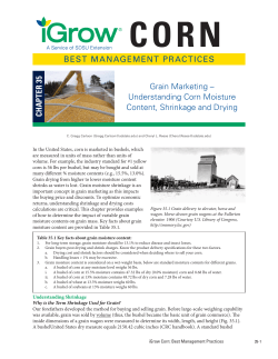 Understanding Corn Moisture Content, Shrinkage and