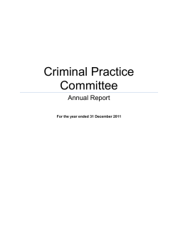 Criminal Practice Committee