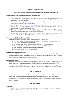 Pregnancy &ndash; introduction
