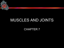 muscles and joints - Wando High School