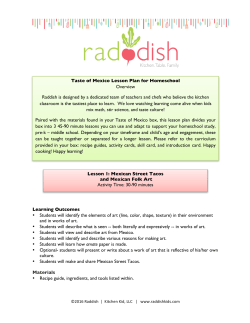 Taste of Mexico lesson plan FINAL