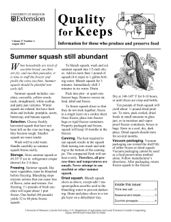 Summer squash still abundant - University of Missouri Extension