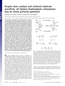 Despite slow catalysis and confused substrate specificity, all