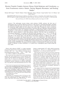 Electron Transfer Complex between Nitrous Oxide Reductase