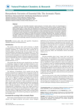 Peer-reviewed Article PDF - e
