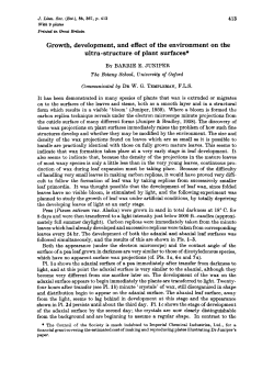 Growth, development, and effect of the