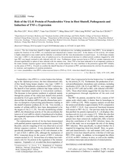 Role of the UL41 Protein of Pseudorabies Virus in Host Shutoff