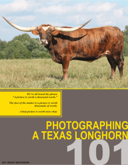 Photography 101 here - Eastwind Cattle Consulting with
