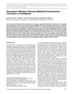 Parameters Affecting Telomere-Mediated Chromosomal Truncation