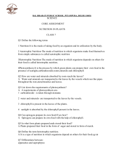 SCIENCE CORE ASSIGNMENT NUTRITION IN PLANTS CLASS 7