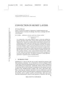 convection in mushy layers - Institute of Theoretical Geophysics