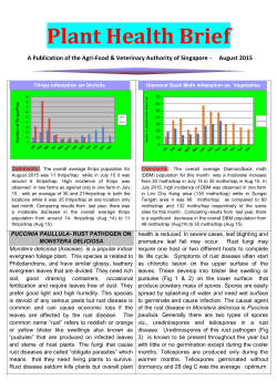 Plant Health Brief