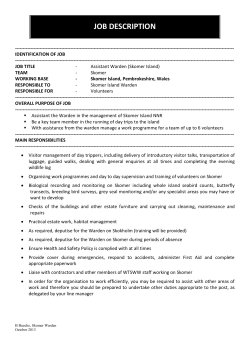 Job Description Updating Guidelines