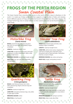 Frogs of the Perth Region