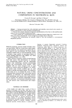 natural urine concentrations and composition in