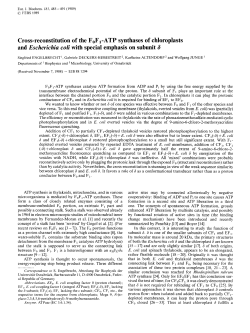 Cross-reconstitution of the FOF1-ATP synthases of chloroplasts and