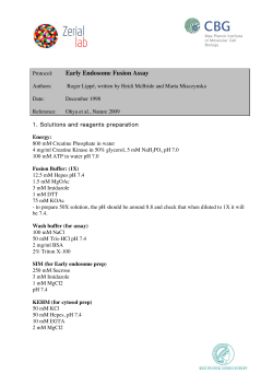 Early Endosome Fusion Assay