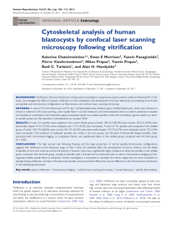 Cytoskeletal analysis of human blastocysts by confocal laser