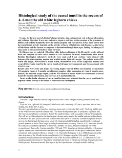 Histological study of the caecal tonsil in the cecum of 4- 6
