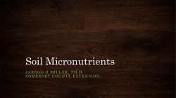 Soil Micronutrients