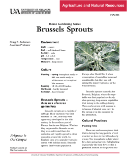 Brussels Sprouts - Home Gardening Series - FSA6005