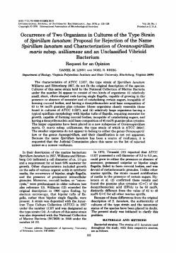 Occurrence of Two Organisms in Cultures of the Type Strain of