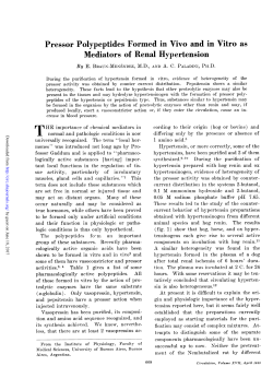 Pressor Polypeptides Formed in Vivo and in Vitro as Mediators of