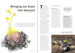 Bringing our brain into blossom