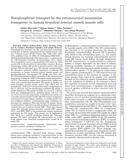 Norepinephrine transport by the extraneuronal - AJP-Lung